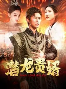 《潜龙贵婿》：赘婿逆袭的都市传奇，看他如何用美食和真心赢得一切！