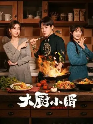 《大厨小婿》：当国漫遇上恋爱兄妹，一场关于美食与爱的爆笑温情之旅！