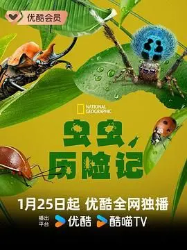 《虫虫历险记》：一场关于成长、勇气与友谊的奇幻冒险，献给每一个心中仍有童真的你